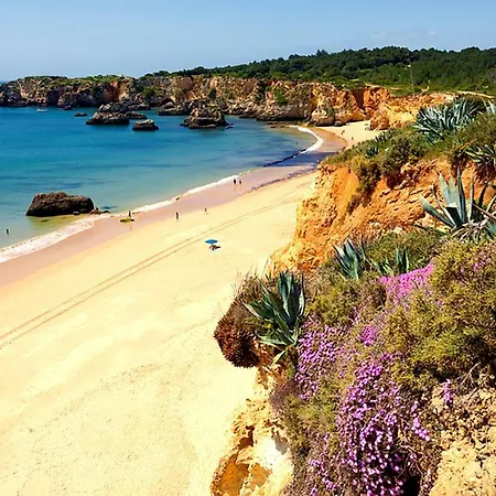 Vau T1 Apartament Portimão